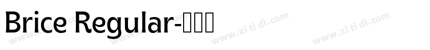 Brice Regular字体转换